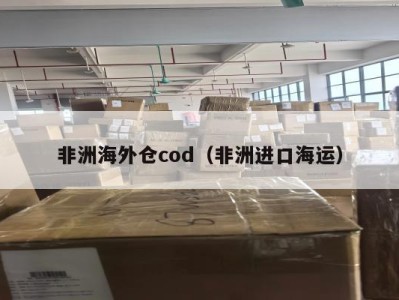 非洲海外仓cod（非洲进口海运）
