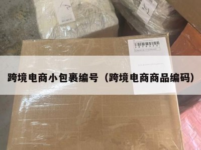 跨境电商小包裹编号（跨境电商商品编码）