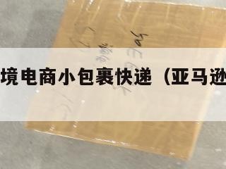 亚马逊跨境电商小包裹快递（亚马逊小包怎么寄）