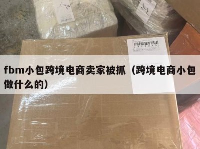 fbm小包跨境电商卖家被抓（跨境电商小包做什么的）