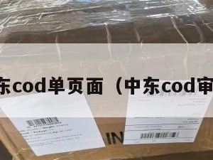中东cod单页面（中东cod审单）