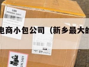 新乡跨境电商小包公司（新乡最大的电商公司）