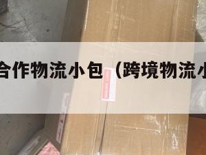 跨境电商合作物流小包（跨境物流小包有哪些）