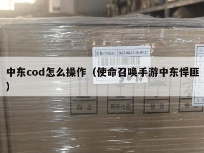 中东cod怎么操作（使命召唤手游中东悍匪）
