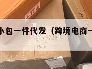 跨境电商小包一件代发（跨境电商一件代发货源）