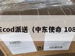 中东cod派送（中东使命 1080p）