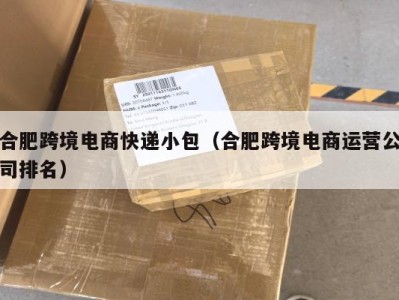合肥跨境电商快递小包（合肥跨境电商运营公司排名）