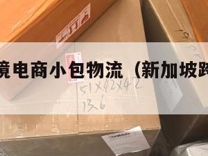新加坡跨境电商小包物流（新加坡跨境电商选品）