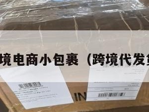 代发跨境电商小包裹（跨境代发货平台）