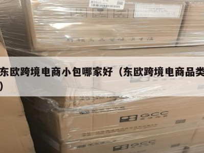 东欧跨境电商小包哪家好（东欧跨境电商品类）