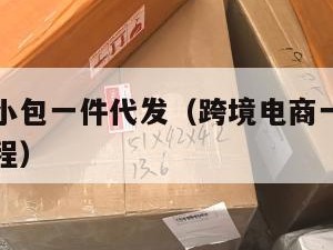 跨境电商小包一件代发（跨境电商一件代发怎么发货流程）