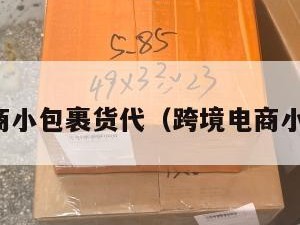 跨境电商小包裹货代（跨境电商小件物流）