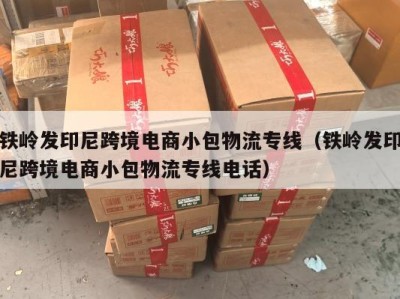 铁岭发印尼跨境电商小包物流专线（铁岭发印尼跨境电商小包物流专线电话）