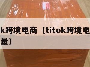 titok跨境电商（titok跨境电商没有单量）