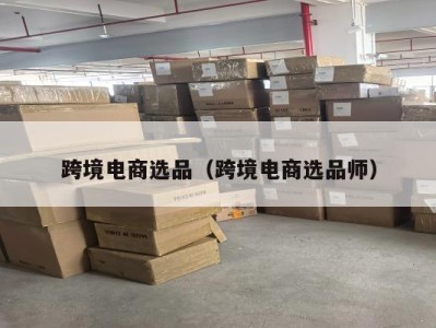 跨境电商选品（跨境电商选品师）