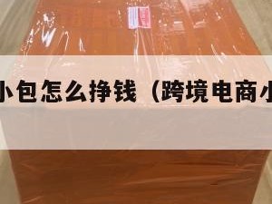 跨境电商小包怎么挣钱（跨境电商小包发货货代）