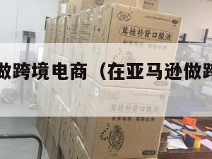 在亚马逊做跨境电商（在亚马逊做跨境电商需要多少钱）