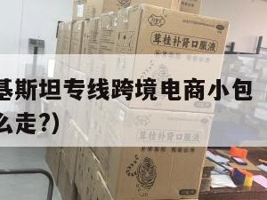 深圳至巴基斯坦专线跨境电商小包（到巴基斯坦的货怎么走?）