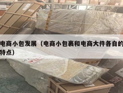 电商小包发展（电商小包裹和电商大件各自的特点）
