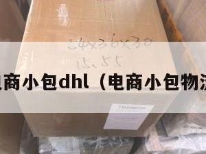 电商小包dhl（电商小包物流）