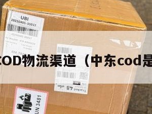 中东COD物流渠道（中东cod是什么）