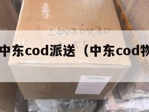 认可的中东cod派送（中东cod物流公司）