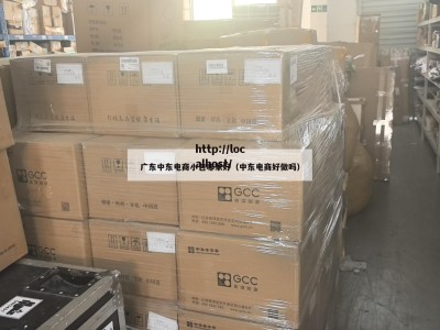 广东中东电商小包哪家好（中东电商好做吗）