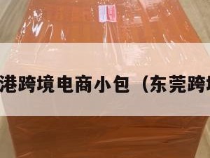 东莞香港跨境电商小包（东莞跨境物流）