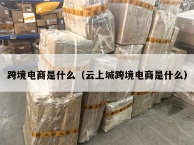 跨境电商是什么（云上城跨境电商是什么）