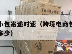 跨境电商小包寄递时速（跨境电商包裹重量最好不超过多少）