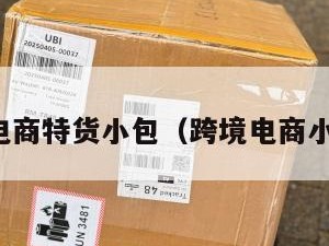 跨境电商特货小包（跨境电商小包裹）