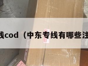 中东专线cod（中东专线有哪些注意事项）