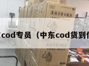 中东cod专员（中东cod货到付款）