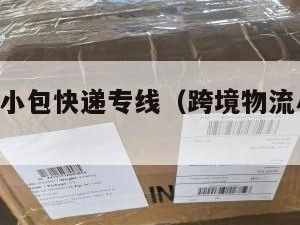 跨境电商小包快递专线（跨境物流小包 专线）