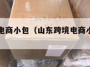 山东跨境电商小包（山东跨境电商小包物流公司）