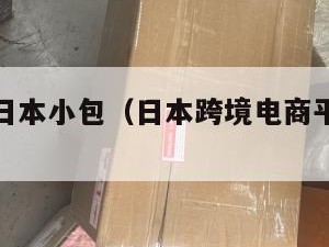 跨境电商日本小包（日本跨境电商平台最新排名）