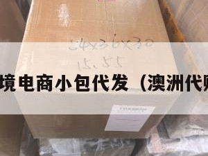 澳洲跨境电商小包代发（澳洲代购快递）