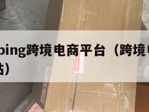 shopping跨境电商平台（跨境电商购物网站）