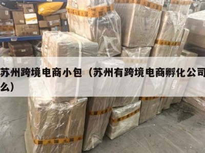 苏州跨境电商小包（苏州有跨境电商孵化公司么）