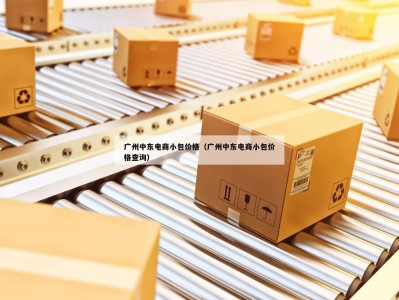 广州中东电商小包价格（广州中东电商小包价格查询）