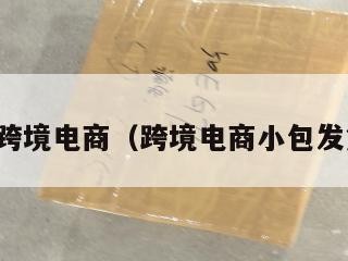 小包总跨境电商（跨境电商小包发货货代）