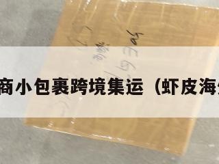 虾皮电商小包裹跨境集运（虾皮海外物流）