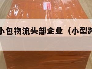 跨境电商小包物流头部企业（小型跨境电商物流）