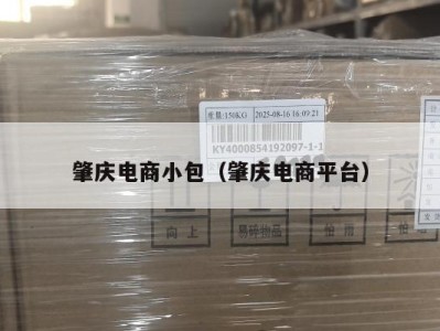 肇庆电商小包（肇庆电商平台）
