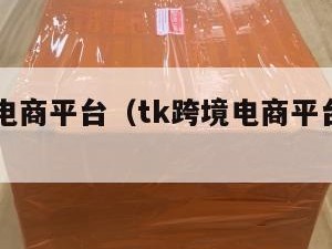 tk跨境电商平台（tk跨境电商平台真的假的）