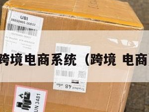 跨境电商系统（跨境 电商）