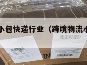 跨境电商小包快递行业（跨境物流小包是什么意思）