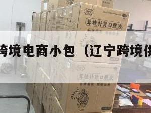 辽宁国际跨境电商小包（辽宁跨境供应链管理有限公司）