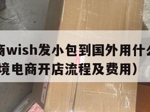 跨境电商wish发小包到国外用什么物流（wish跨境电商开店流程及费用）