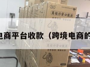 跨境电商平台收款（跨境电商的收款）